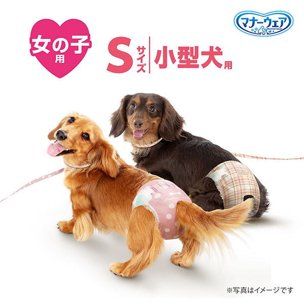 マナーウェア 女の子用 S モーヴピンクドット・ピンクチェック 36枚