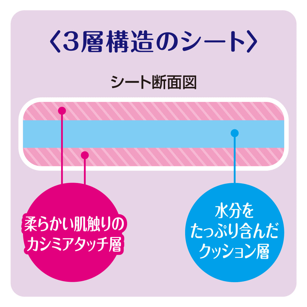 デオクリーン からだふきシート 小型犬・猫用 香り付き 28枚×24