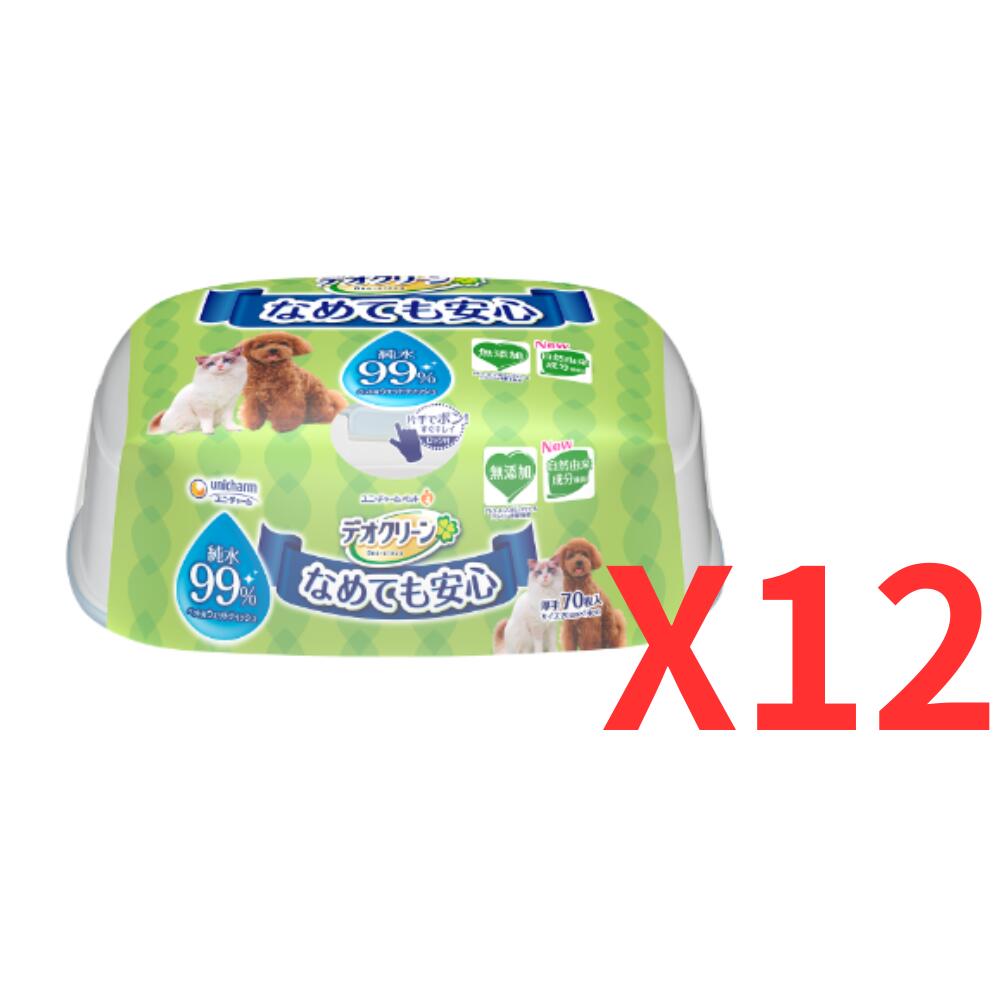 デオクリーン ノンアルコール除菌 ウェットティッシュ 本体60枚