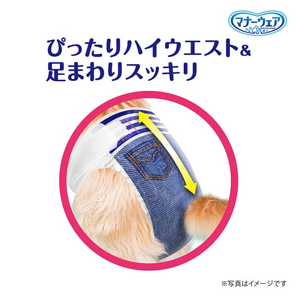 マナーウェアねこ用Lサイズ 4枚