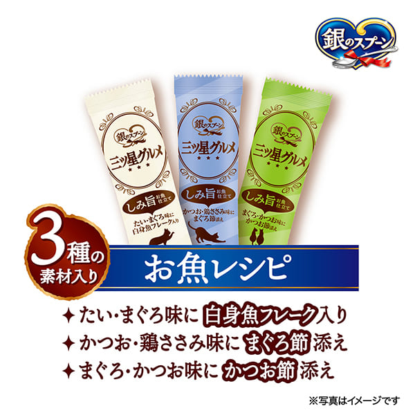 【ケース】銀のスプーン三ツ星グルメしみ旨お魚仕立て3種の素材入りお魚レシピ 160g