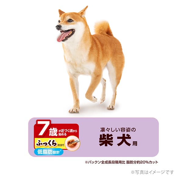 ベストバランス ふっくら仕立て 柴犬用 7歳が近づく頃から始める低脂肪 1.7kg