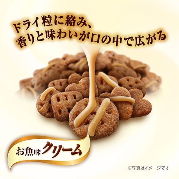 【ケース】銀のスプーン三ツ星グルメお魚味クリームお腹の健康ケア3種のアソート 180g