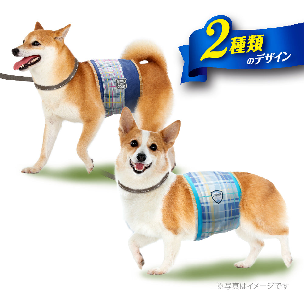 マナーウェア 男の子用 Ｌ 青チェック・紺チェック 40枚