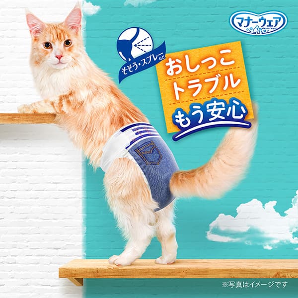 マナーウェアねこ用Ｌサイズ 4枚
