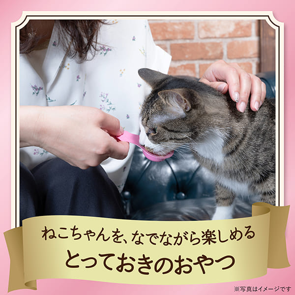 銀のスプーン　おやつ　にゃんSpoon　毛玉ケア２種のアソートまぐろ＆かつお味 10g×10本